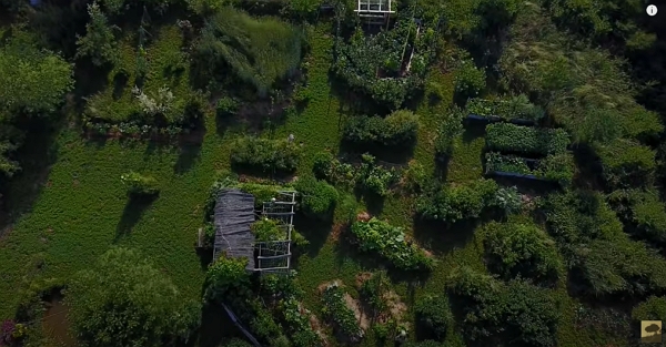 Vue aérienne du jardin de Damien