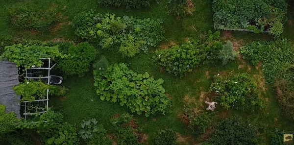 Vue aérienne du jardin de Damien