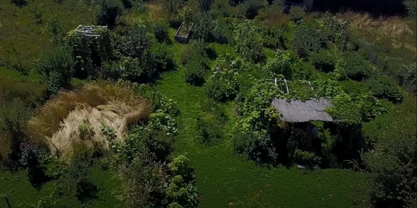 Vue aérienne du jardin de Damien